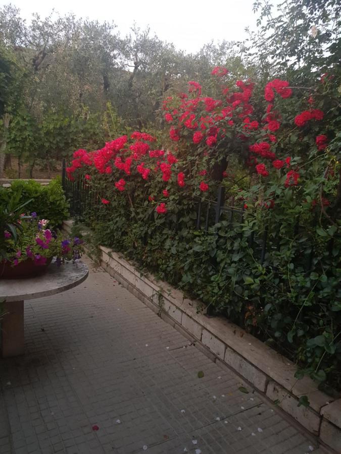 El Giardino Delle Rose..... Lägenhet Serre Di Rapolano Exteriör bild