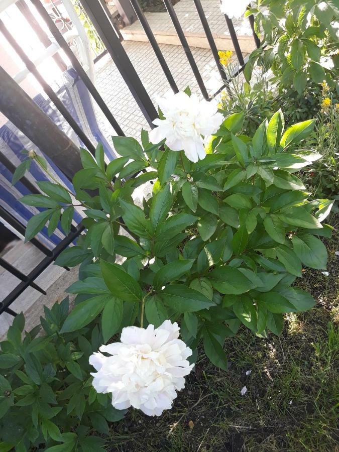 El Giardino Delle Rose..... Lägenhet Serre Di Rapolano Exteriör bild