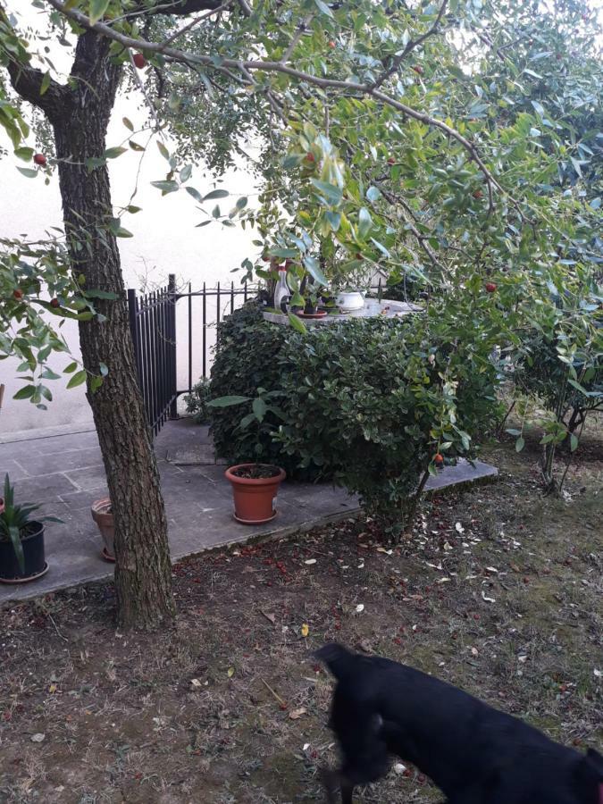 El Giardino Delle Rose..... Lägenhet Serre Di Rapolano Exteriör bild